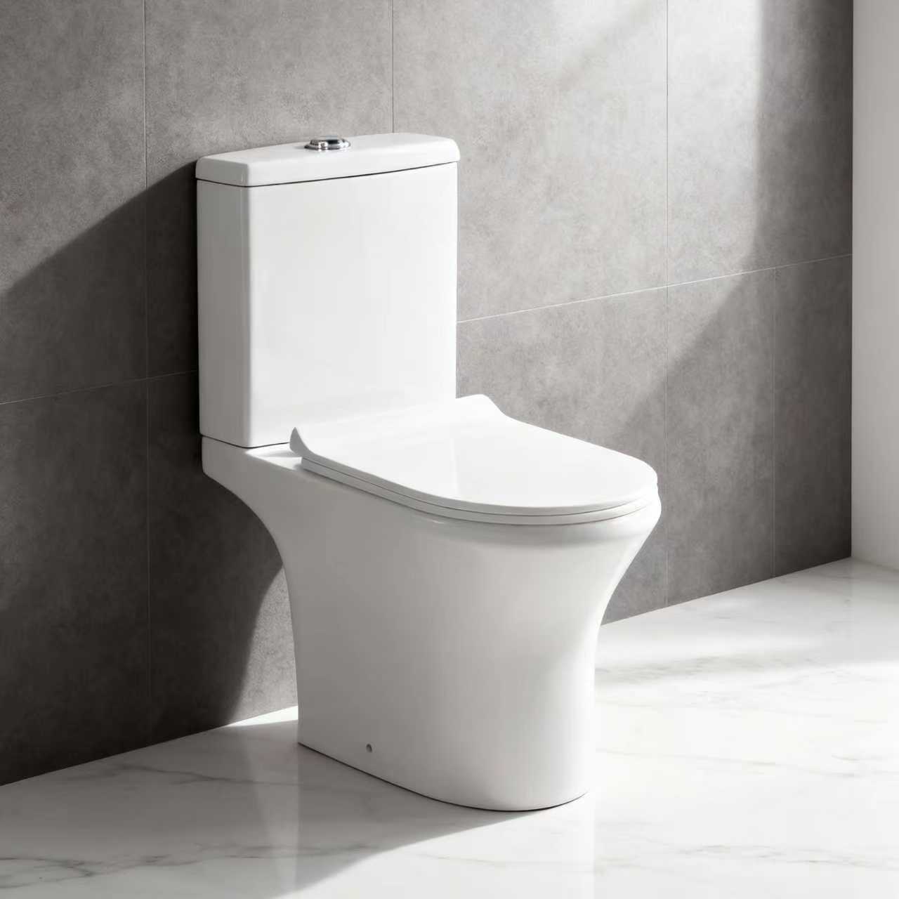 FLF-10 D-type Commercial Water-Saving Toilet | 4/6L Dual Flushing | Floor-standing for Easy Installation | Customizable Projects