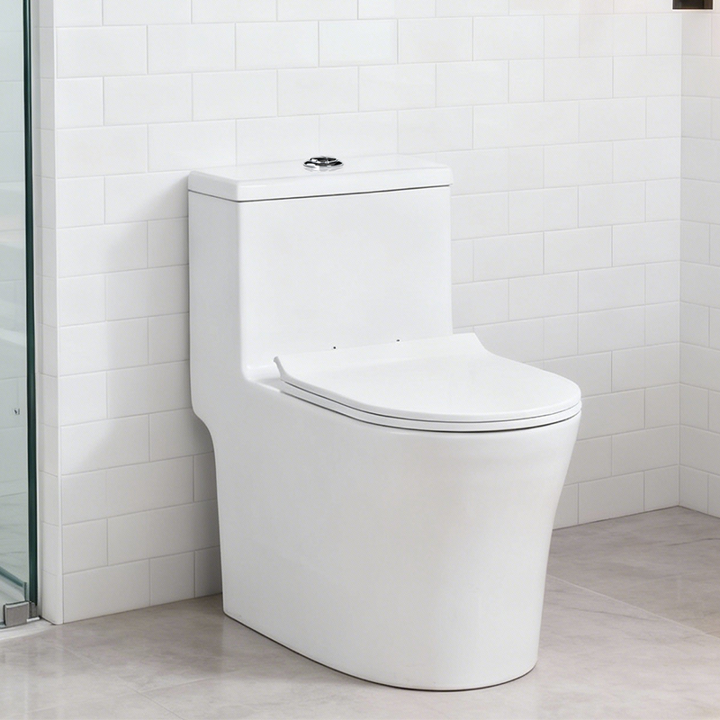 Modern Dual-Flush Elongated One-Piece Ceramic Toilet with S-Trap Drainage for Hotels and Villas