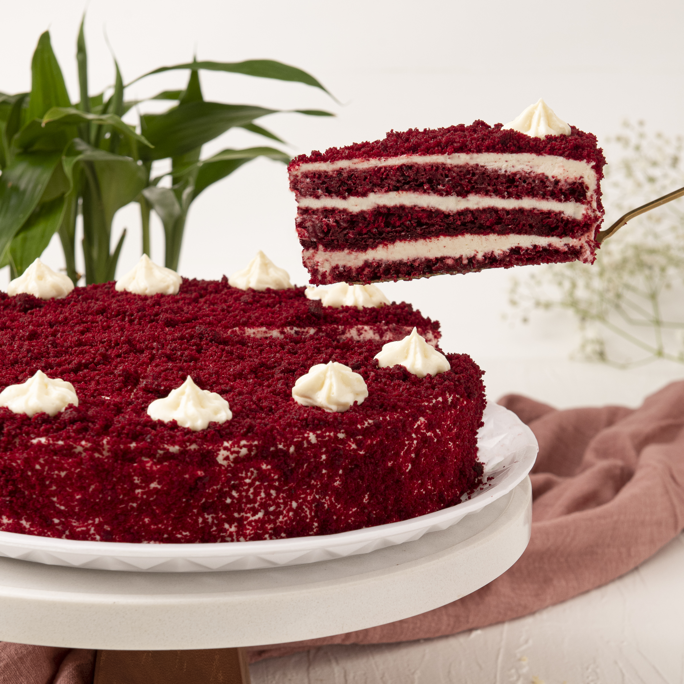 Bolo Red Velvet