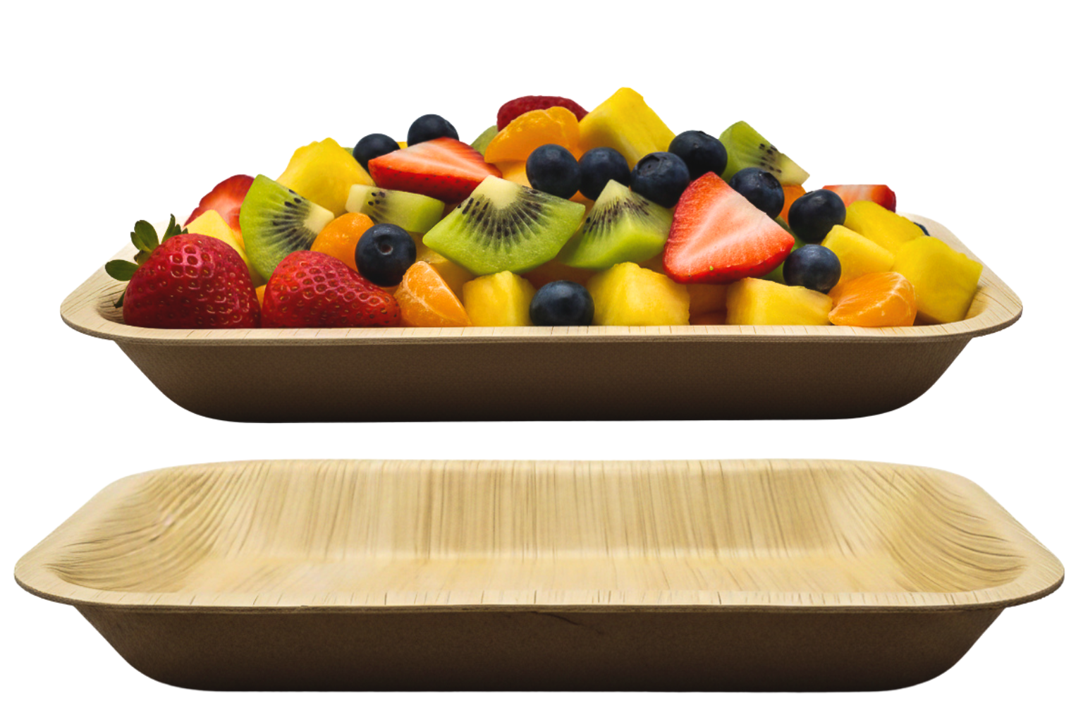 16cm x 24cm Quad Tray