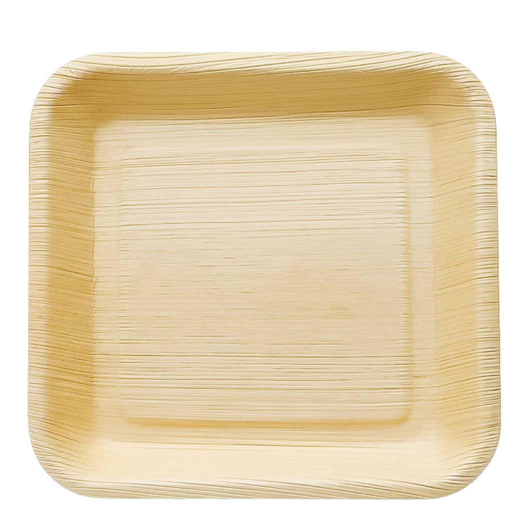 24cm Plate Square Big