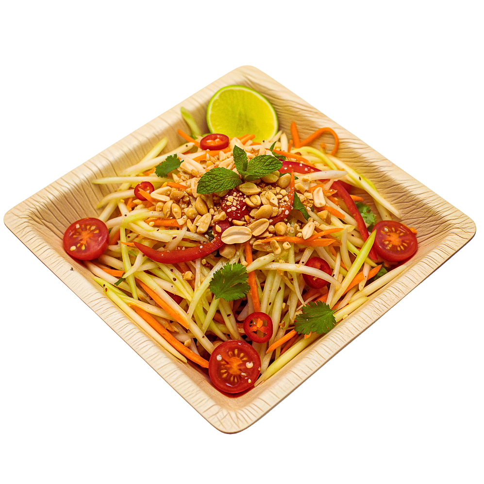 16cm x 4.5cm Deep Bowl Square