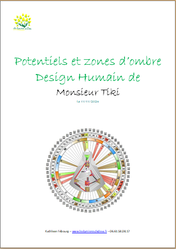 Analyse Human Design 2 - Potentiels et zones d'ombre