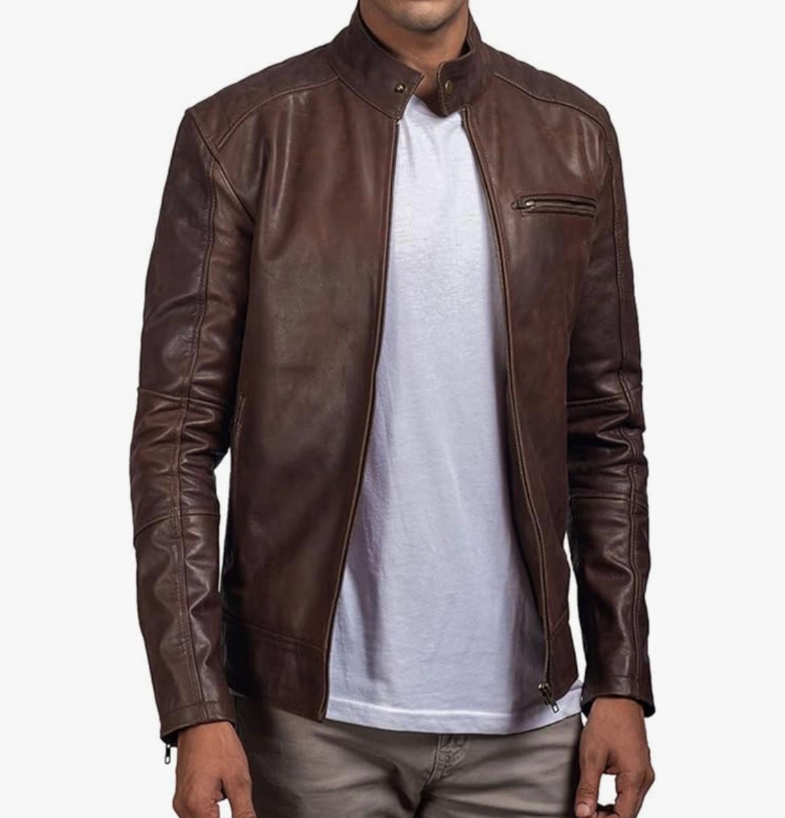 Sleek Racer with Band Collar - Brown