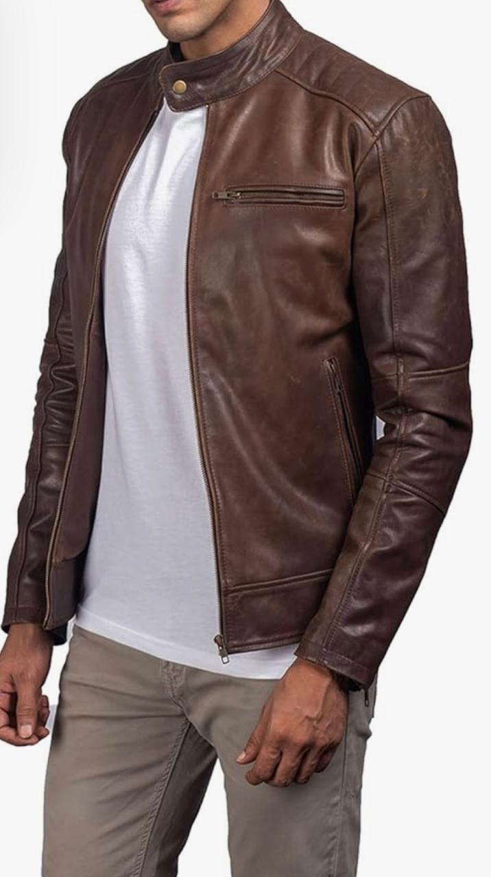 Sleek Racer with Band Collar - Brown