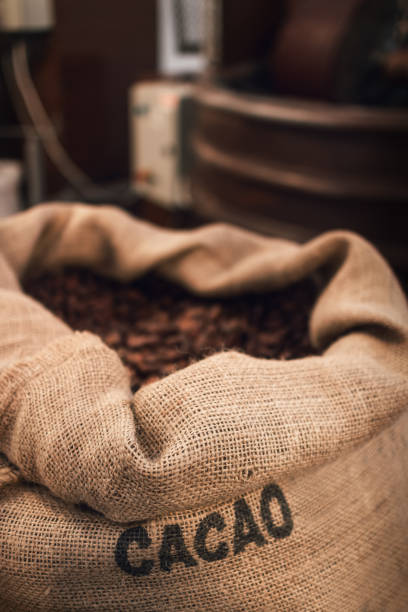 Découverte et Dégustation du Chocolat