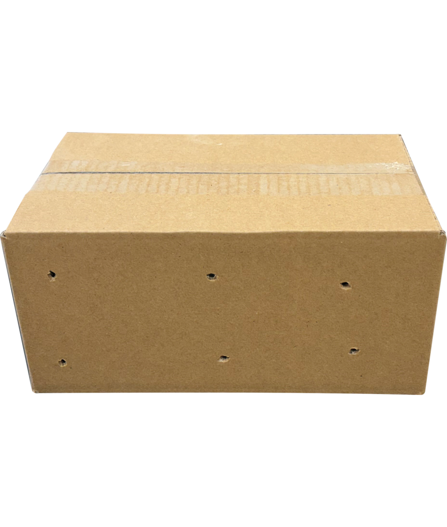 Criquets moyens-Locusta migratoria  carton 100 pièces