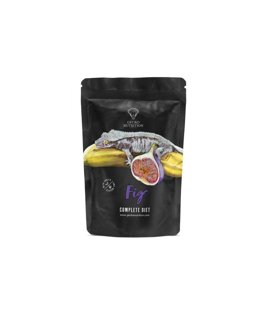 Gecko nutrition figue