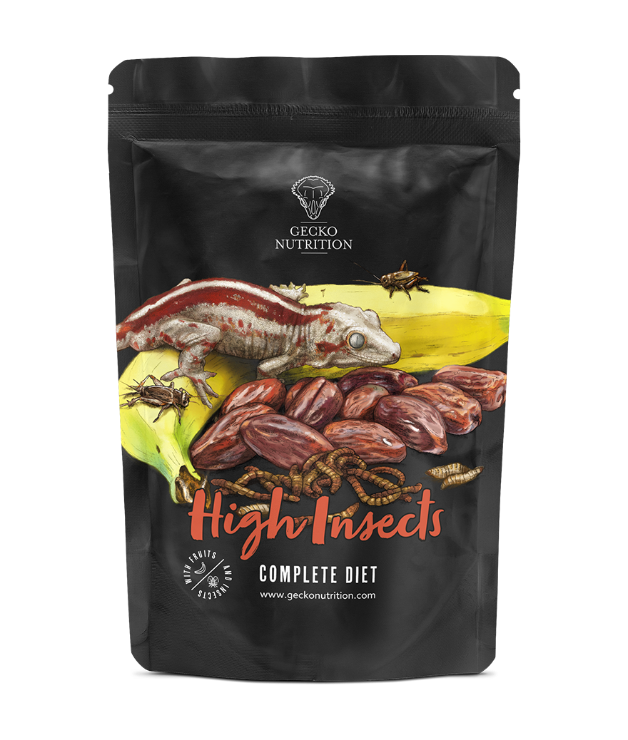 Gecko nutrition  High Insects