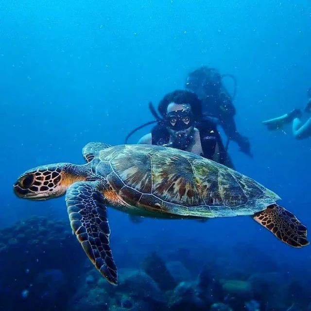 Diving day experience!