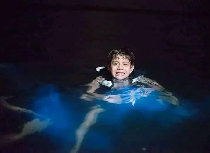 Bioluminescent plankton Experience