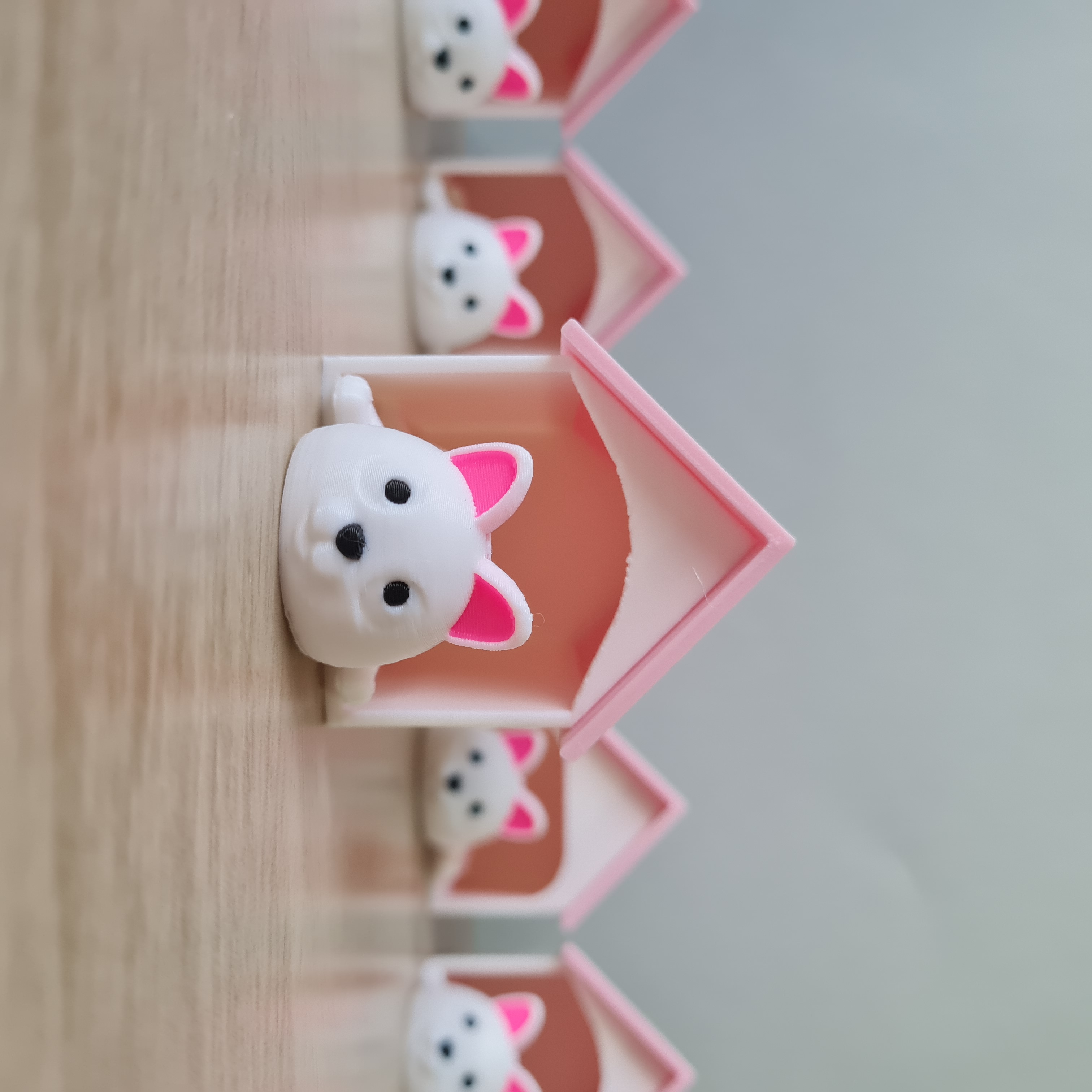 Gato Articulado com Casinha