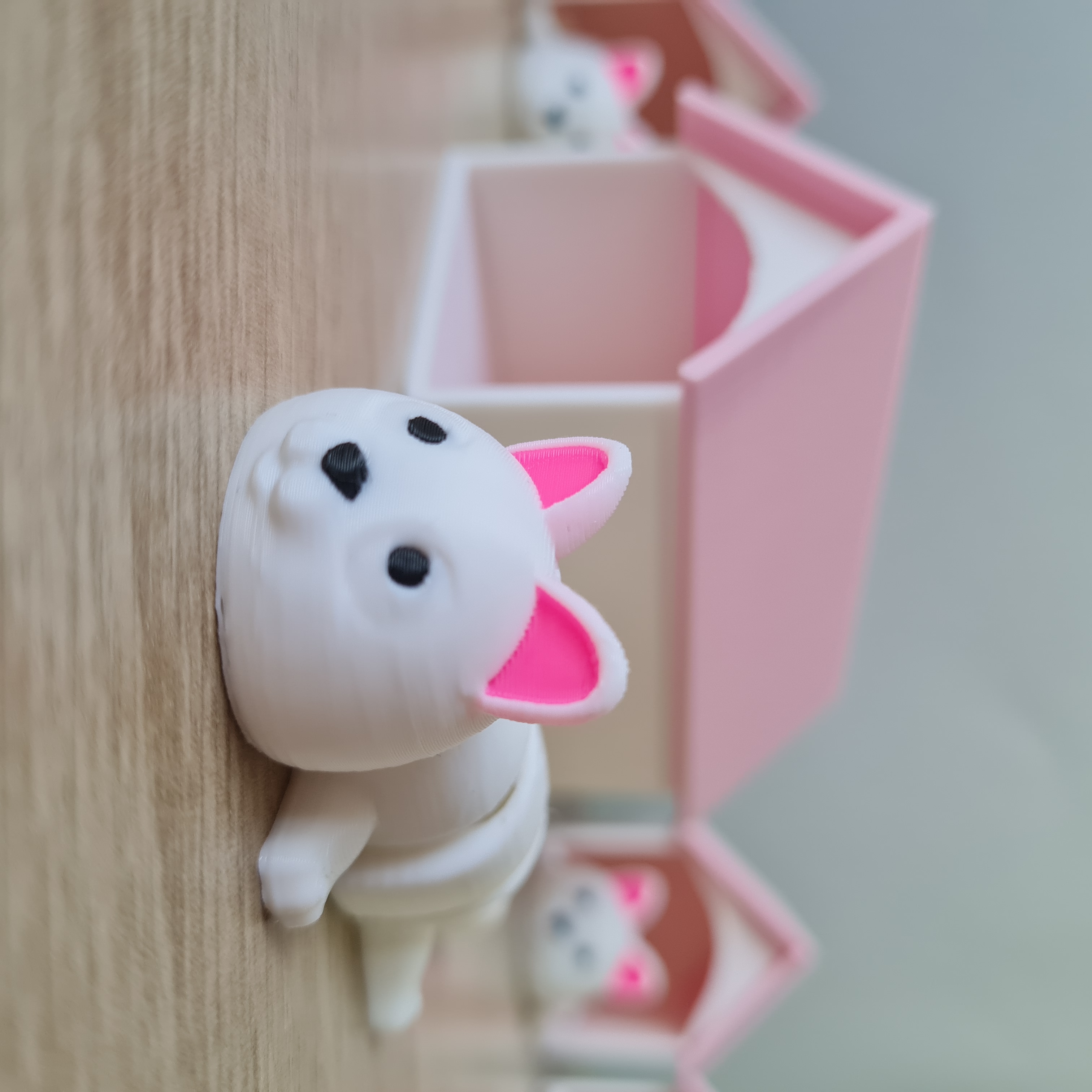 Gato Articulado com Casinha