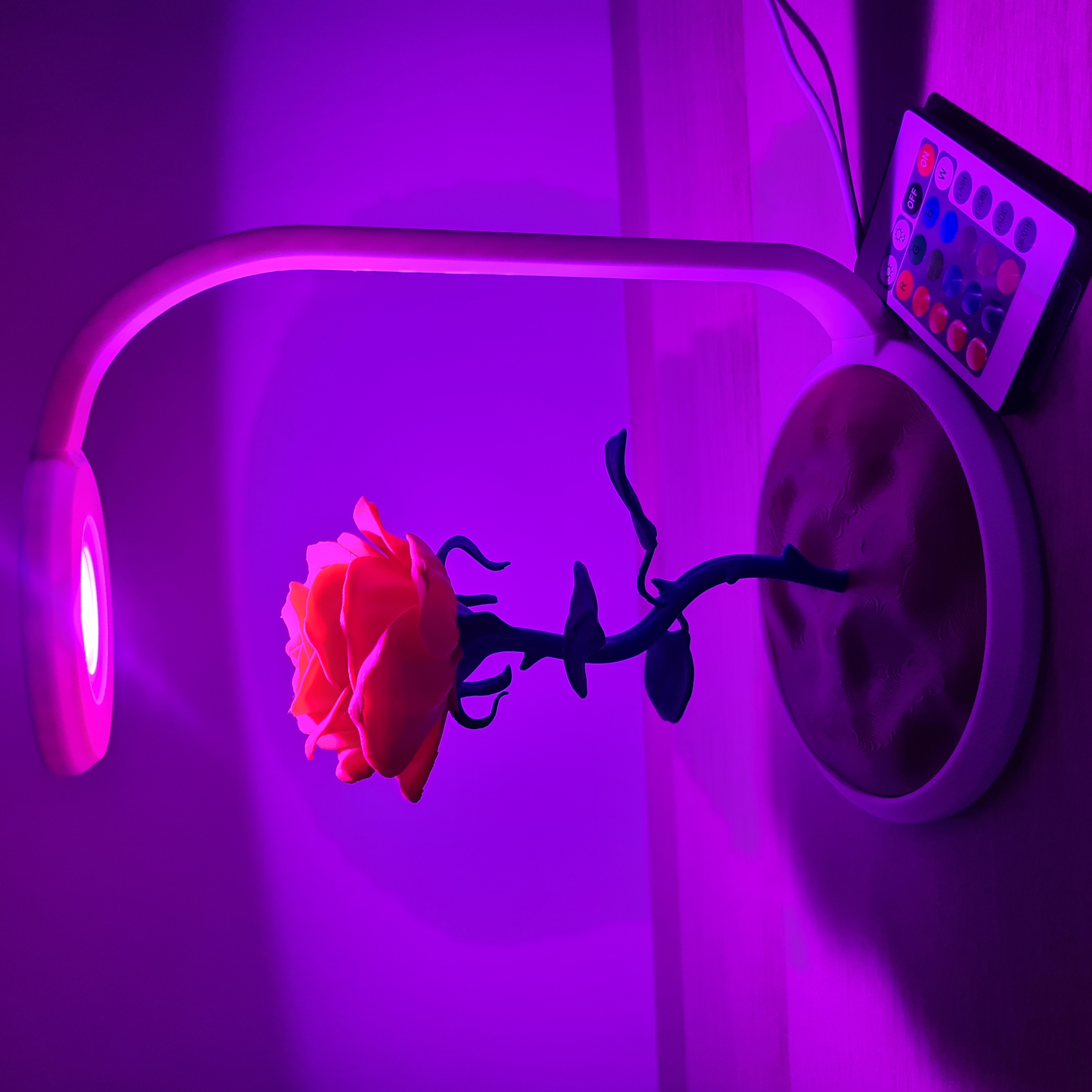 Candeeiro LED RGB romântico com rosas estilo Bela e Fera