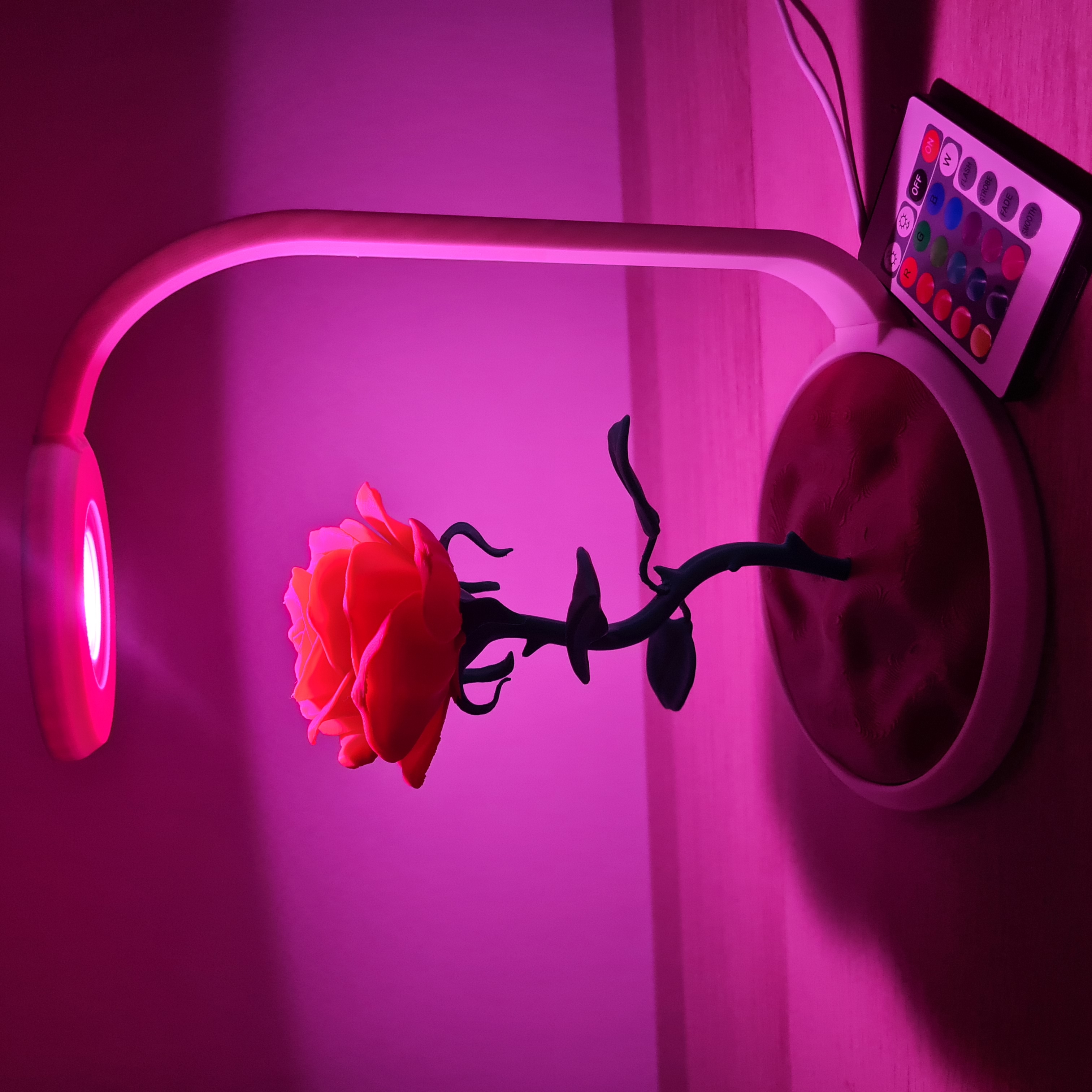Candeeiro LED RGB romântico com rosas estilo Bela e Fera