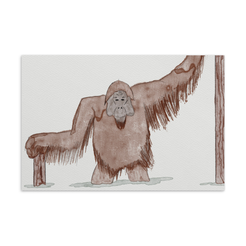 Wild Life Postcard 