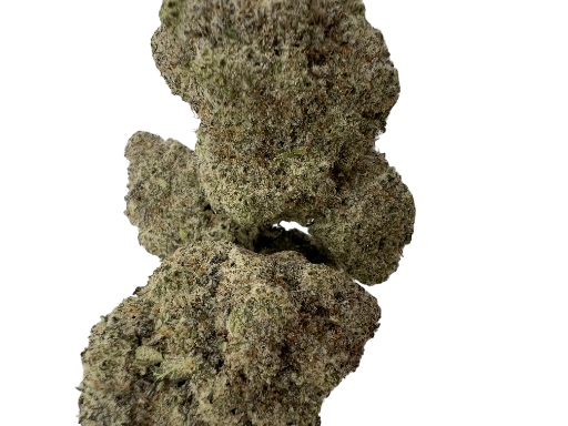 ALIEN COOKIES