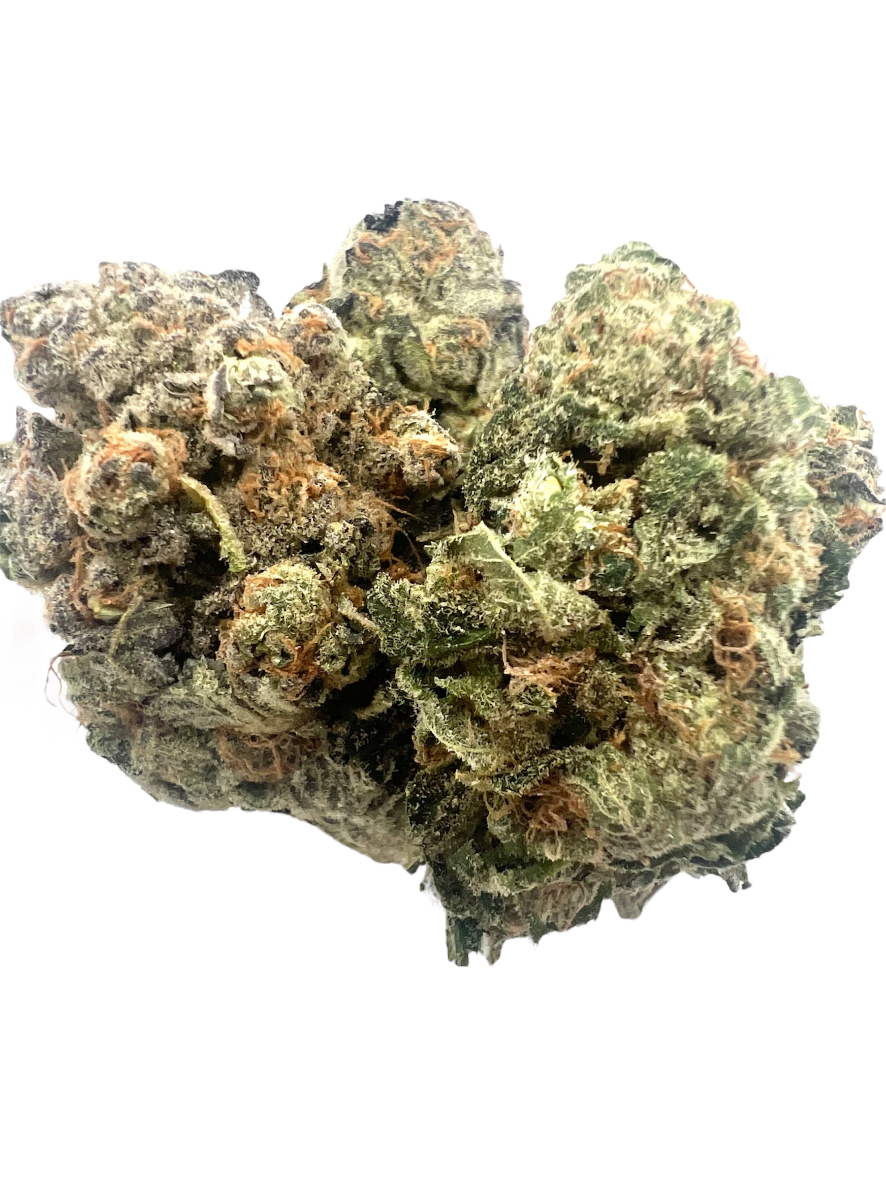 MANGO BREATH