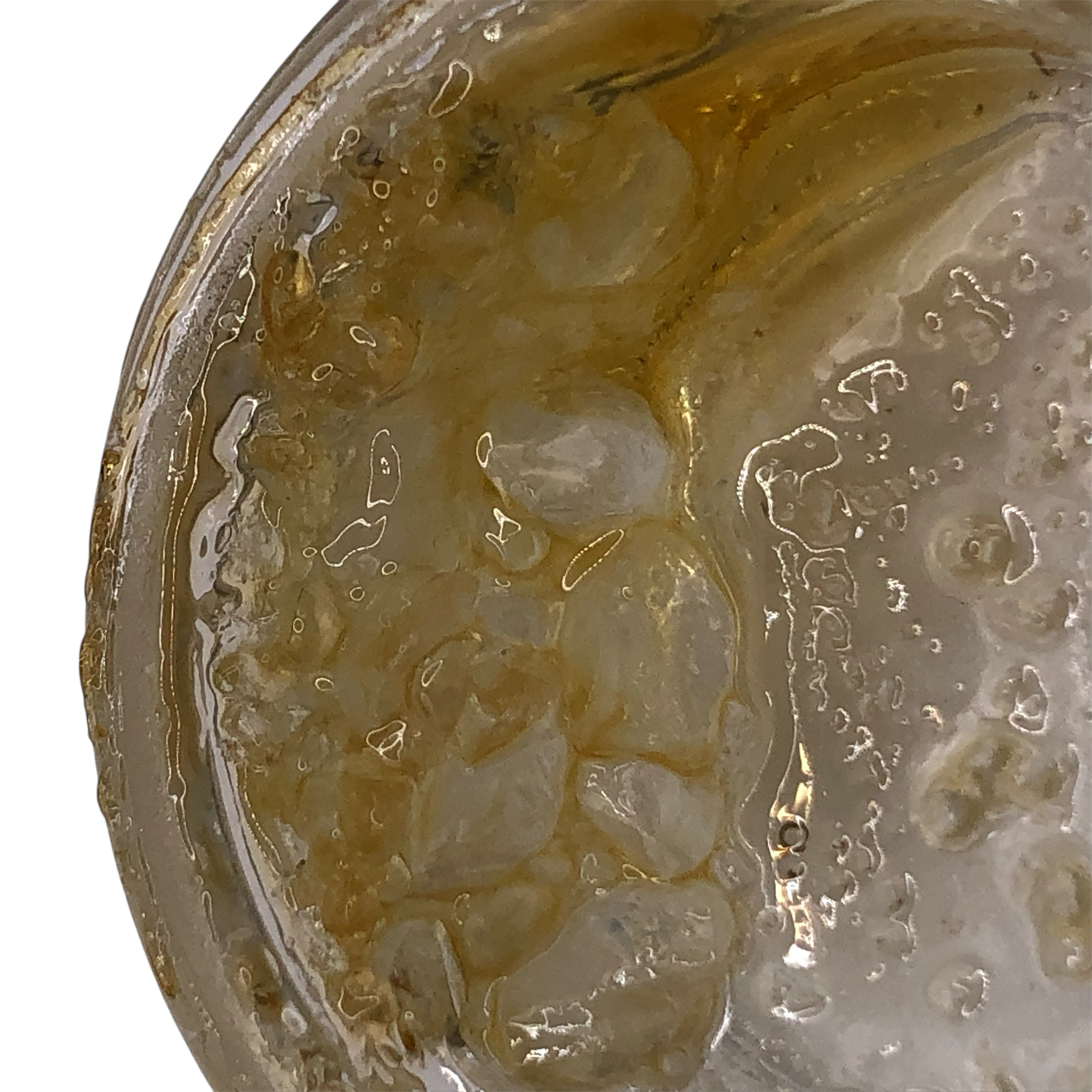 DIAMONDS IN TERP SAUCE