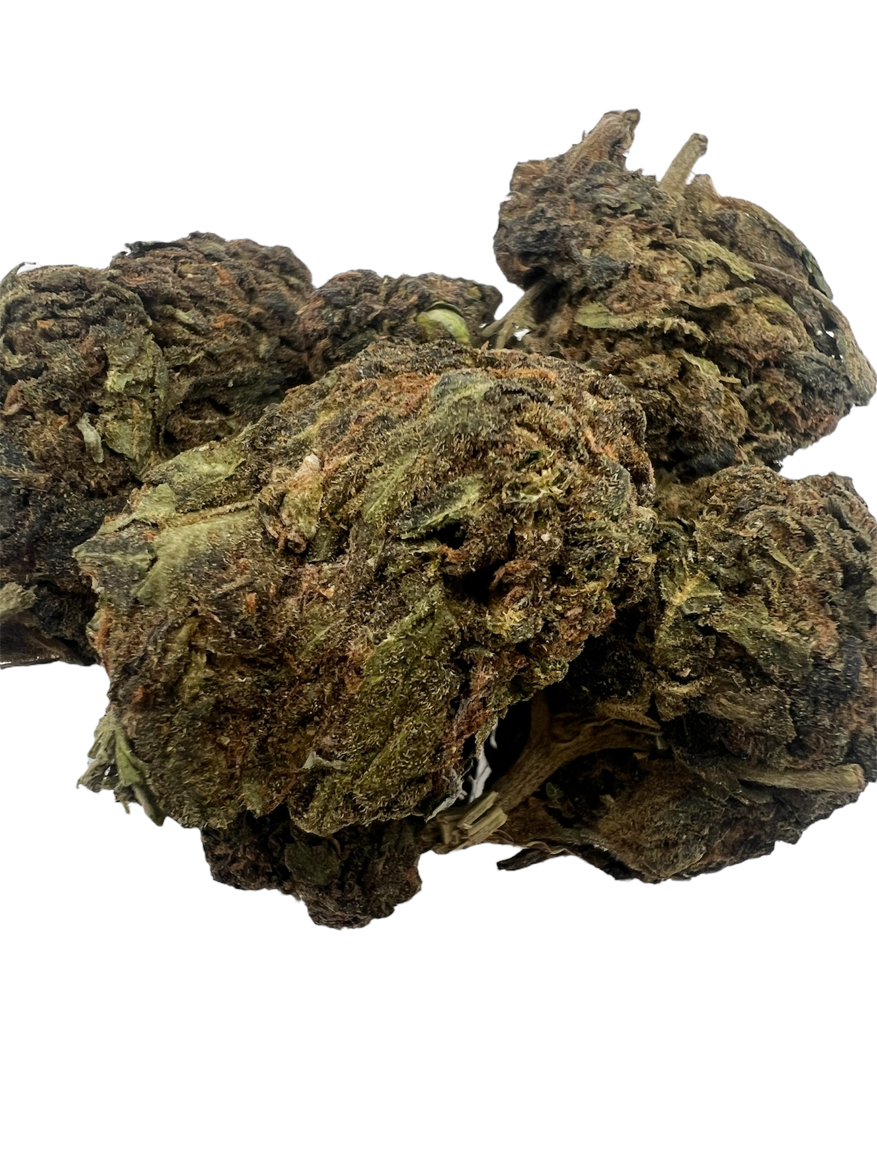 GSC