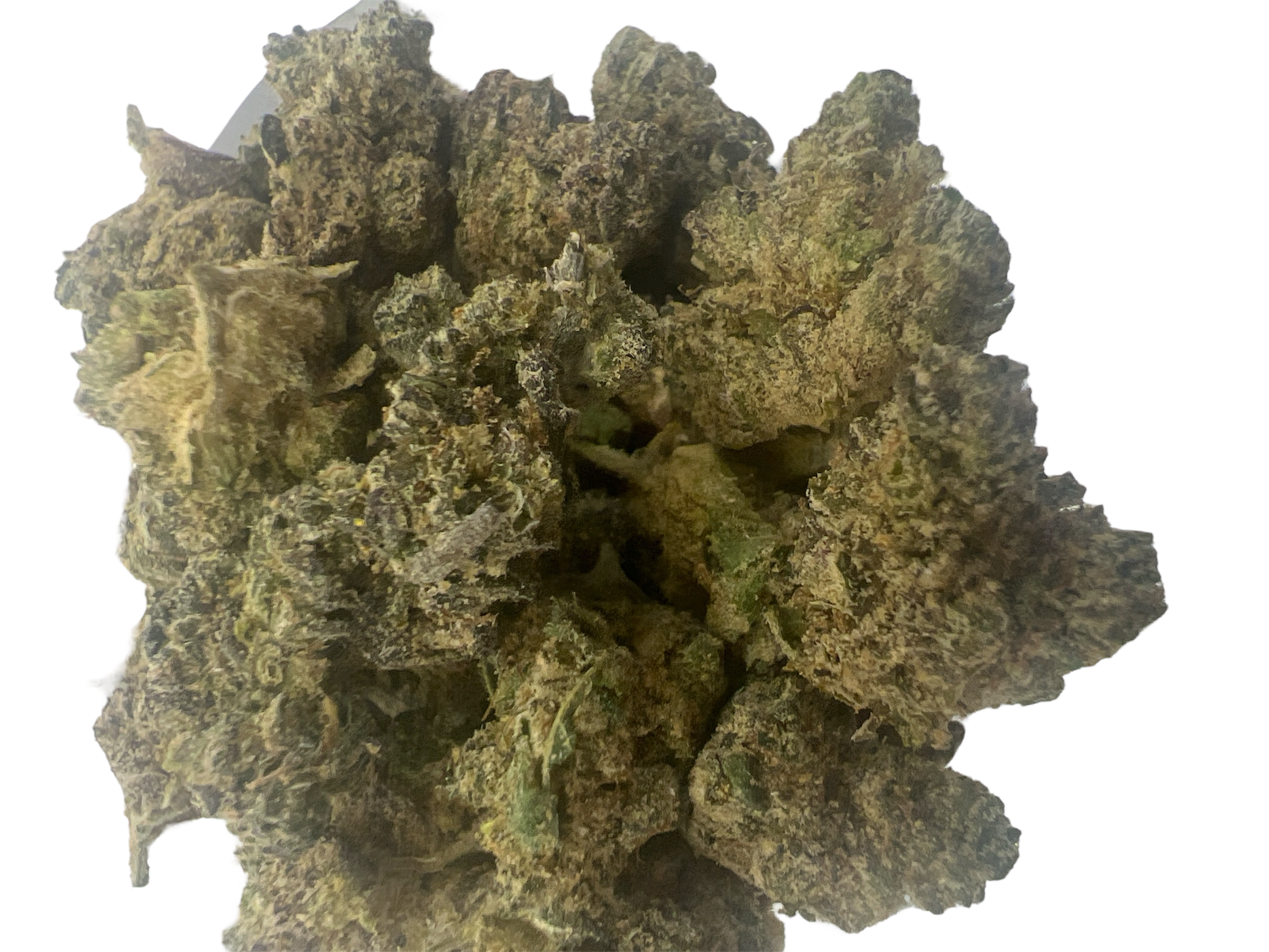 DIESEL