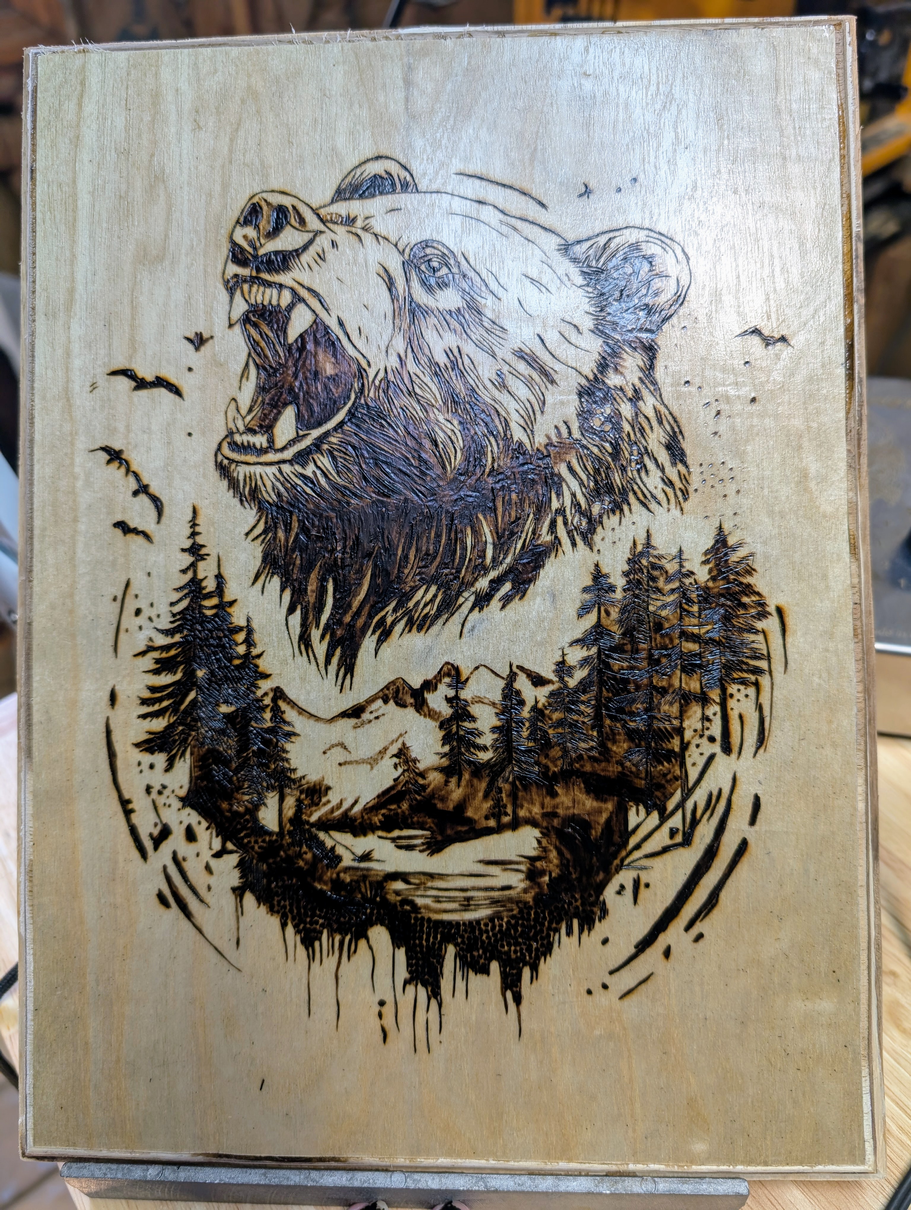 Smokey Mountain Bear