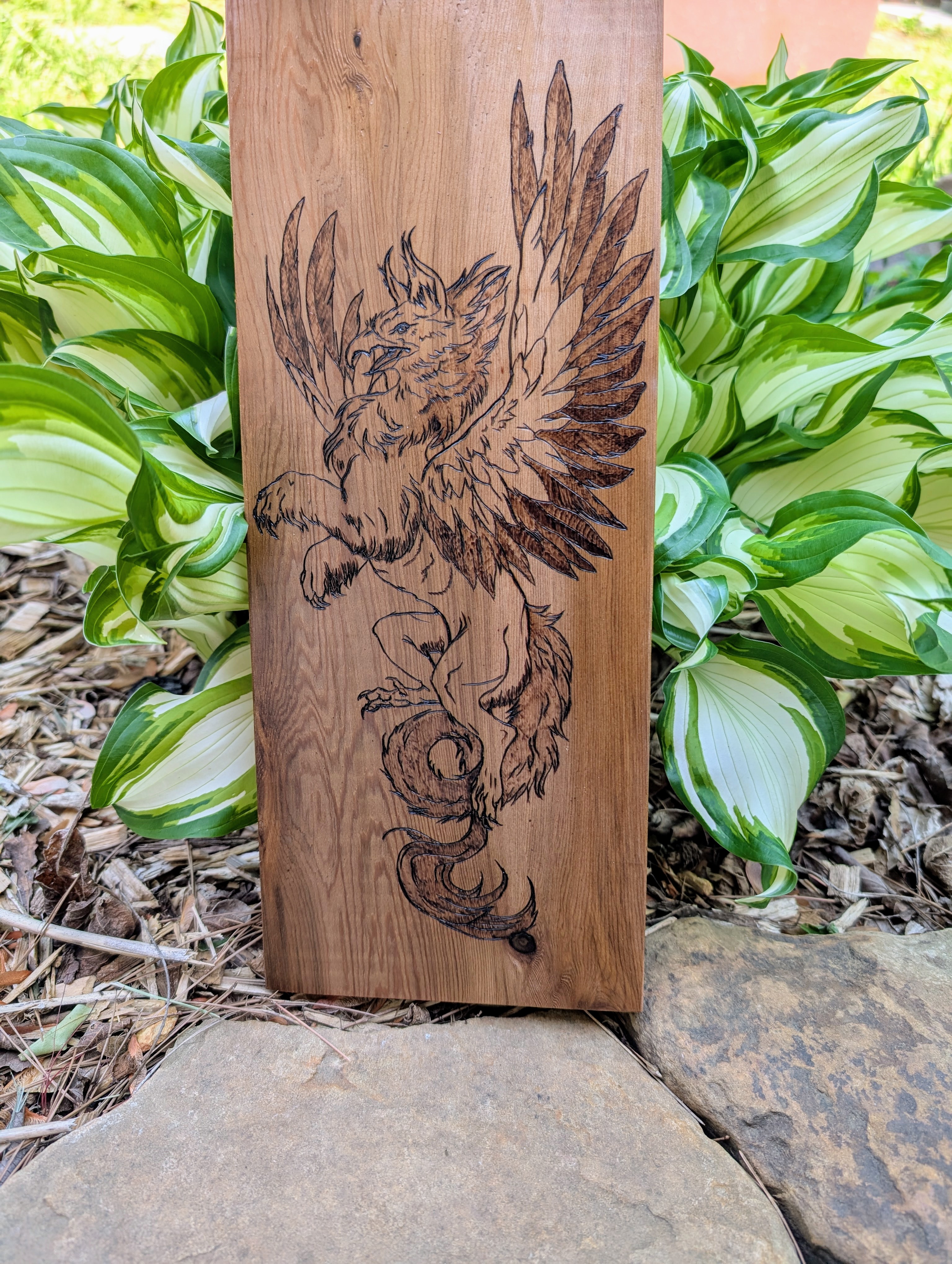 Griffon