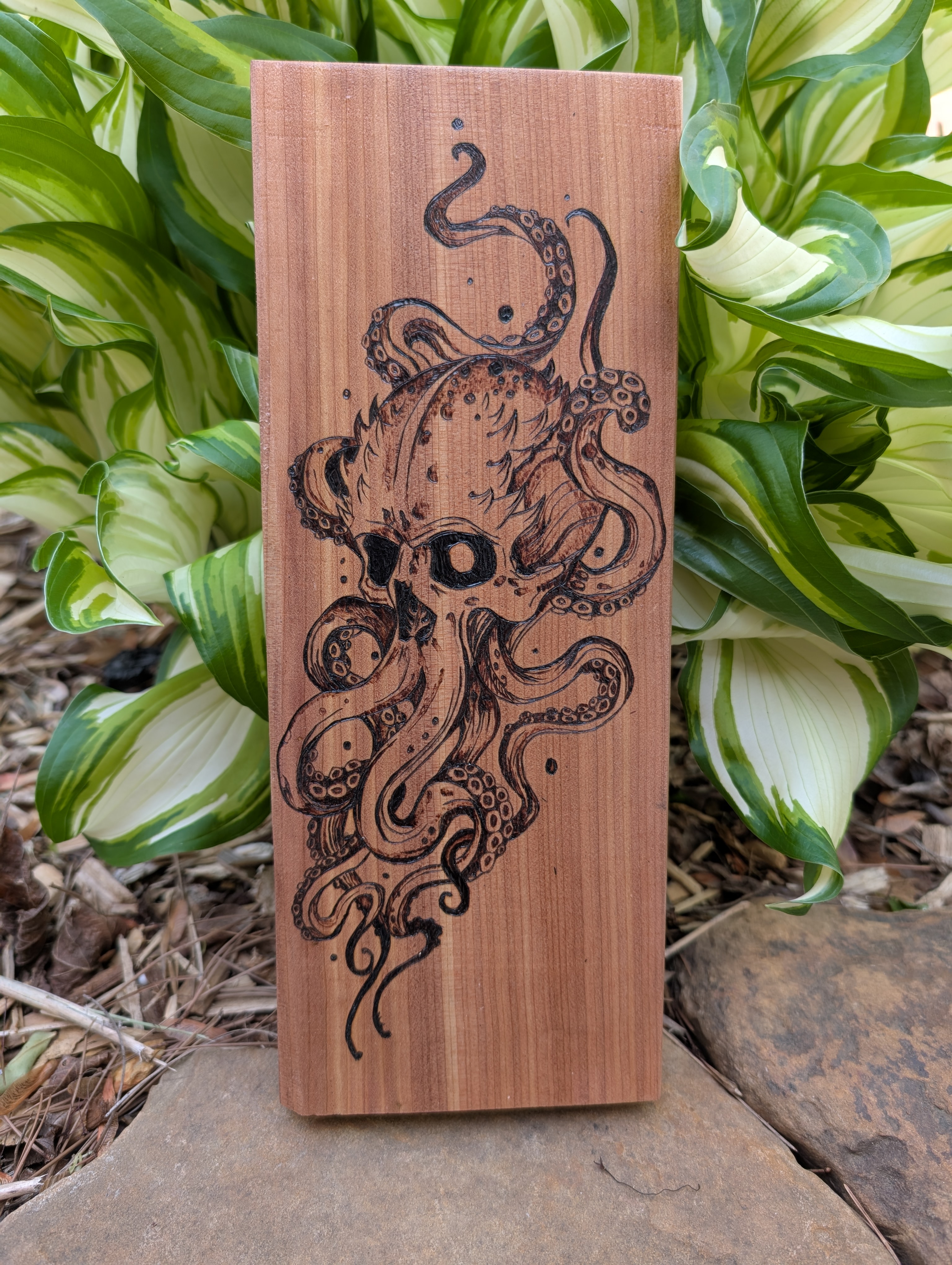 Octopus/Skull