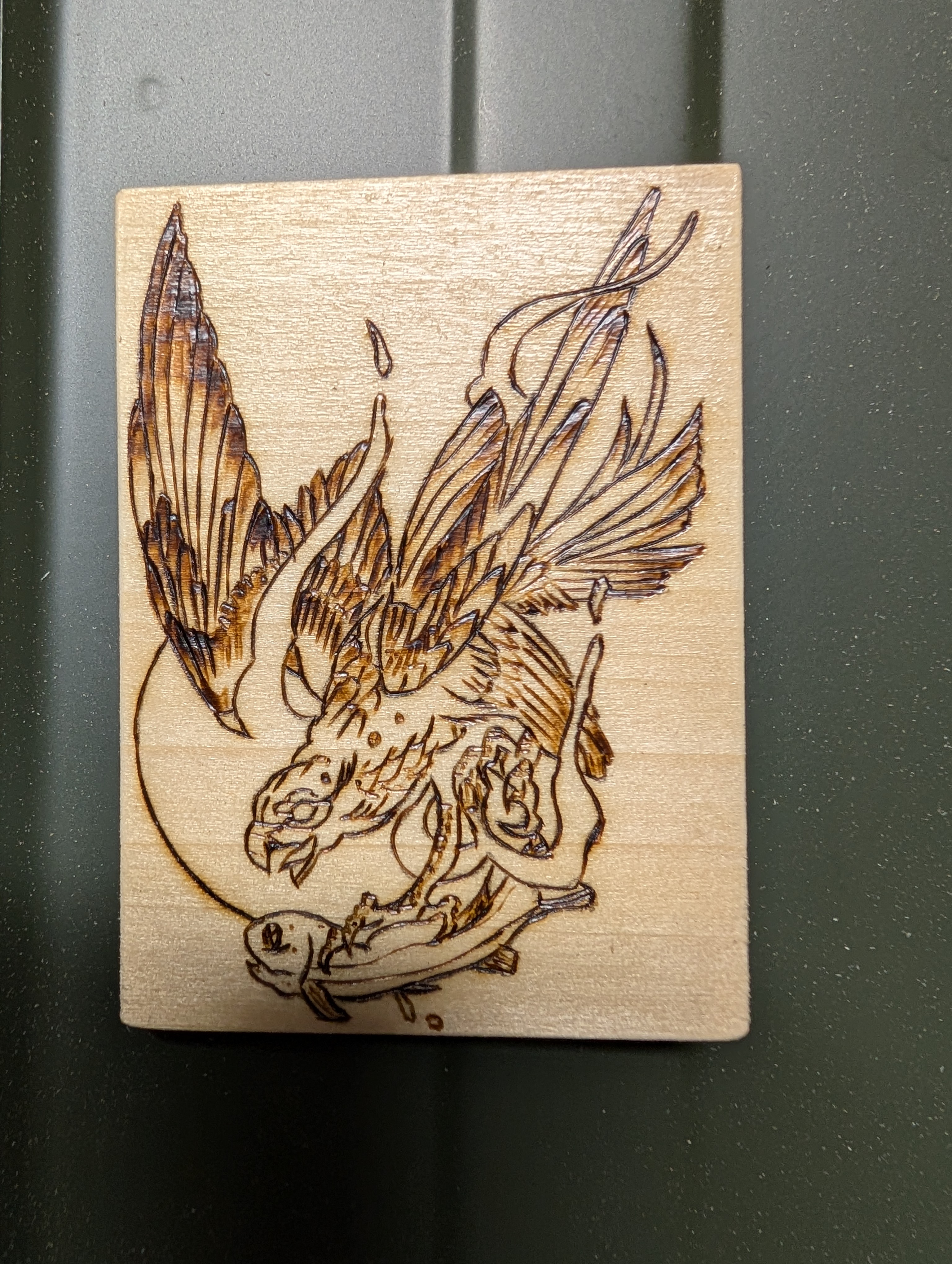 Falcon/Salmon Fridge Magnet