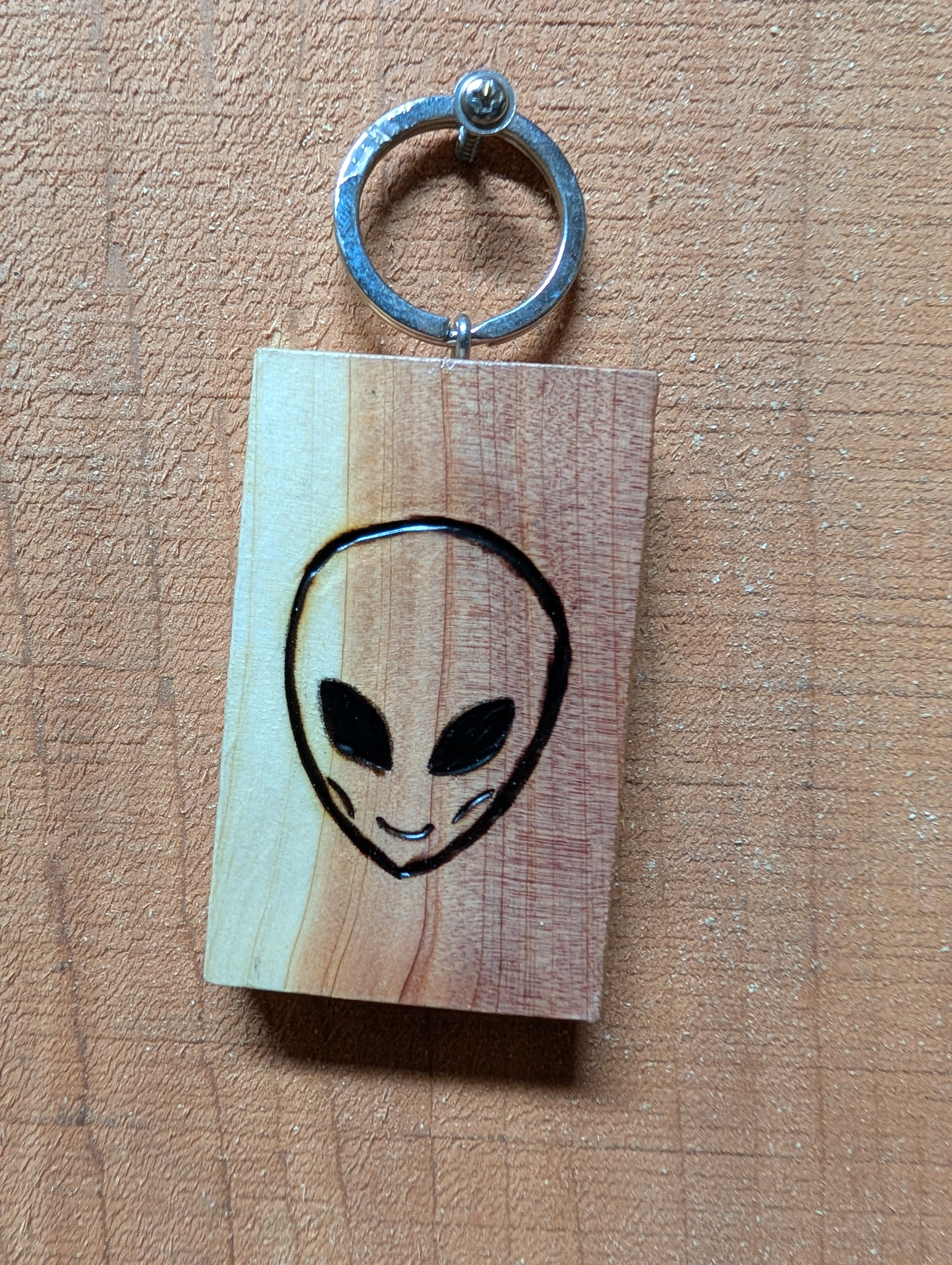 Double Sided Cedar Alien Keychain