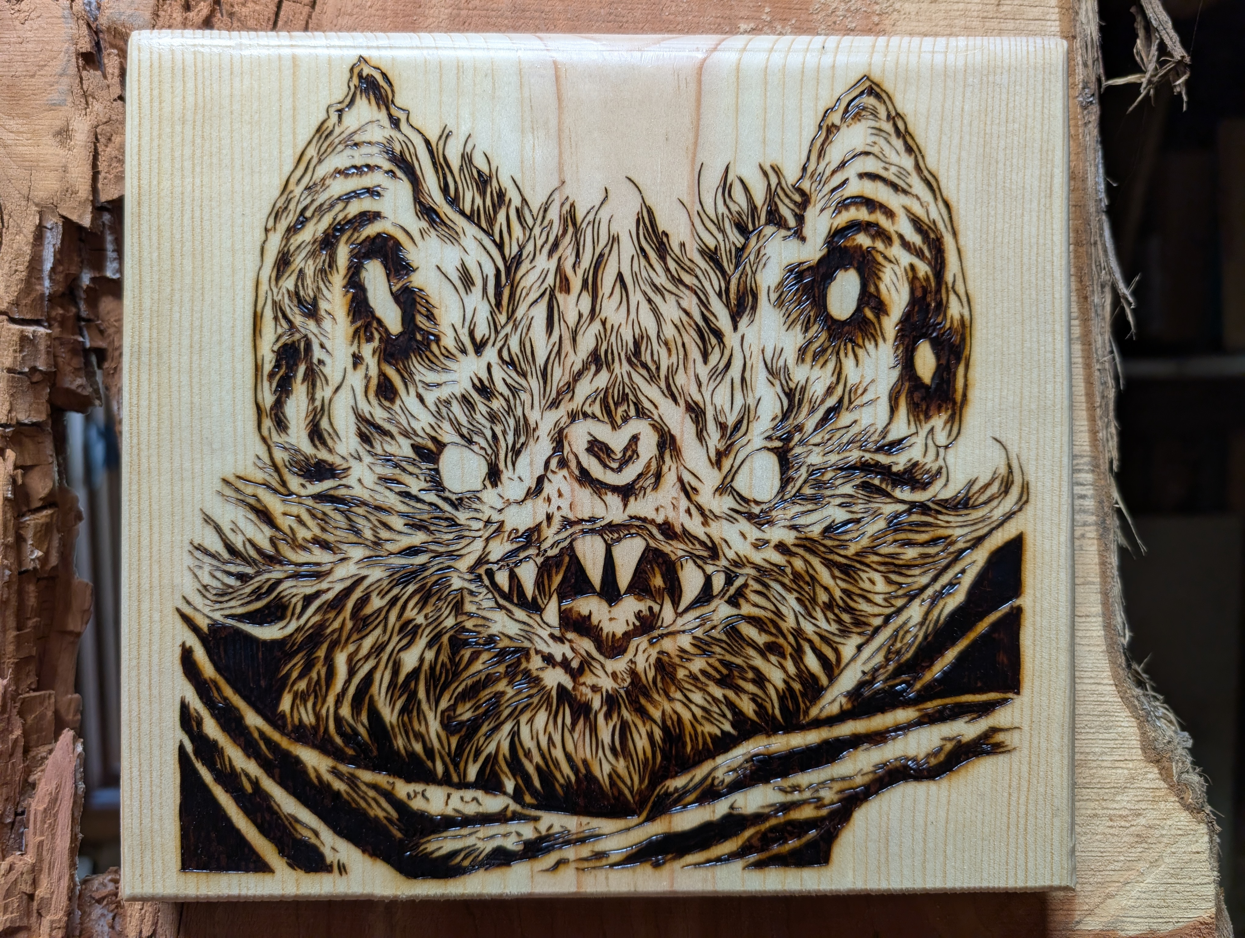 Bat 