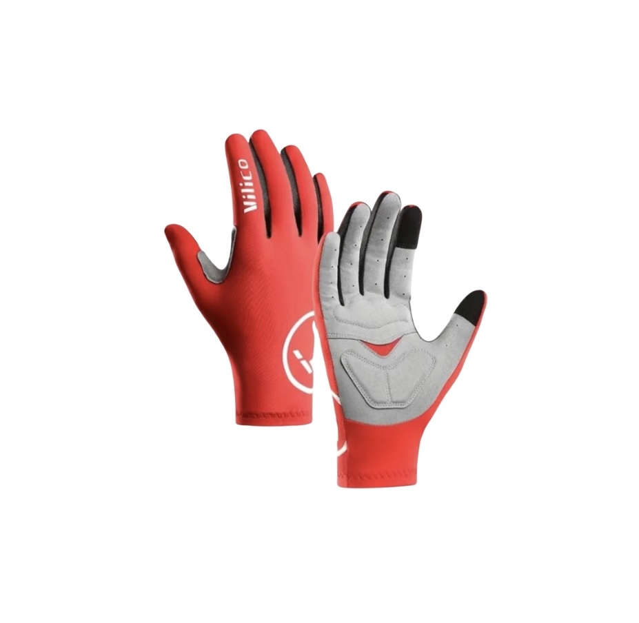 Gants VILICO 