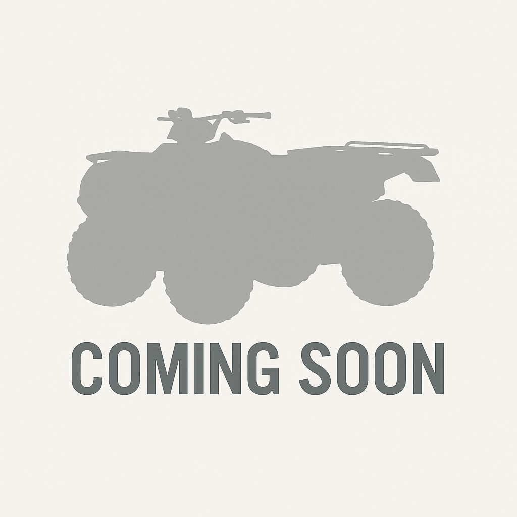 2006 YAMAHA RAPTOR 700