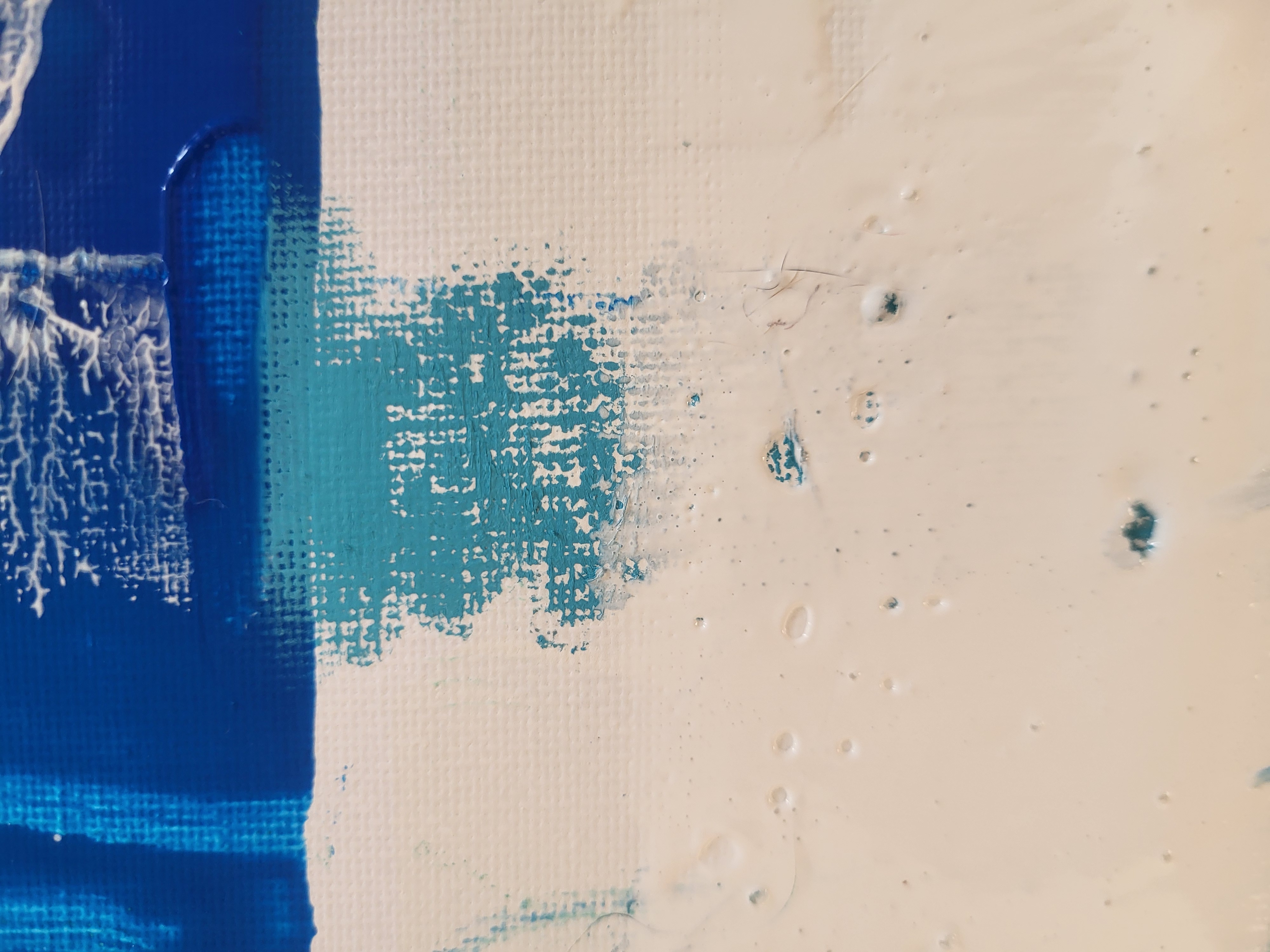 Blue bird of Freedom