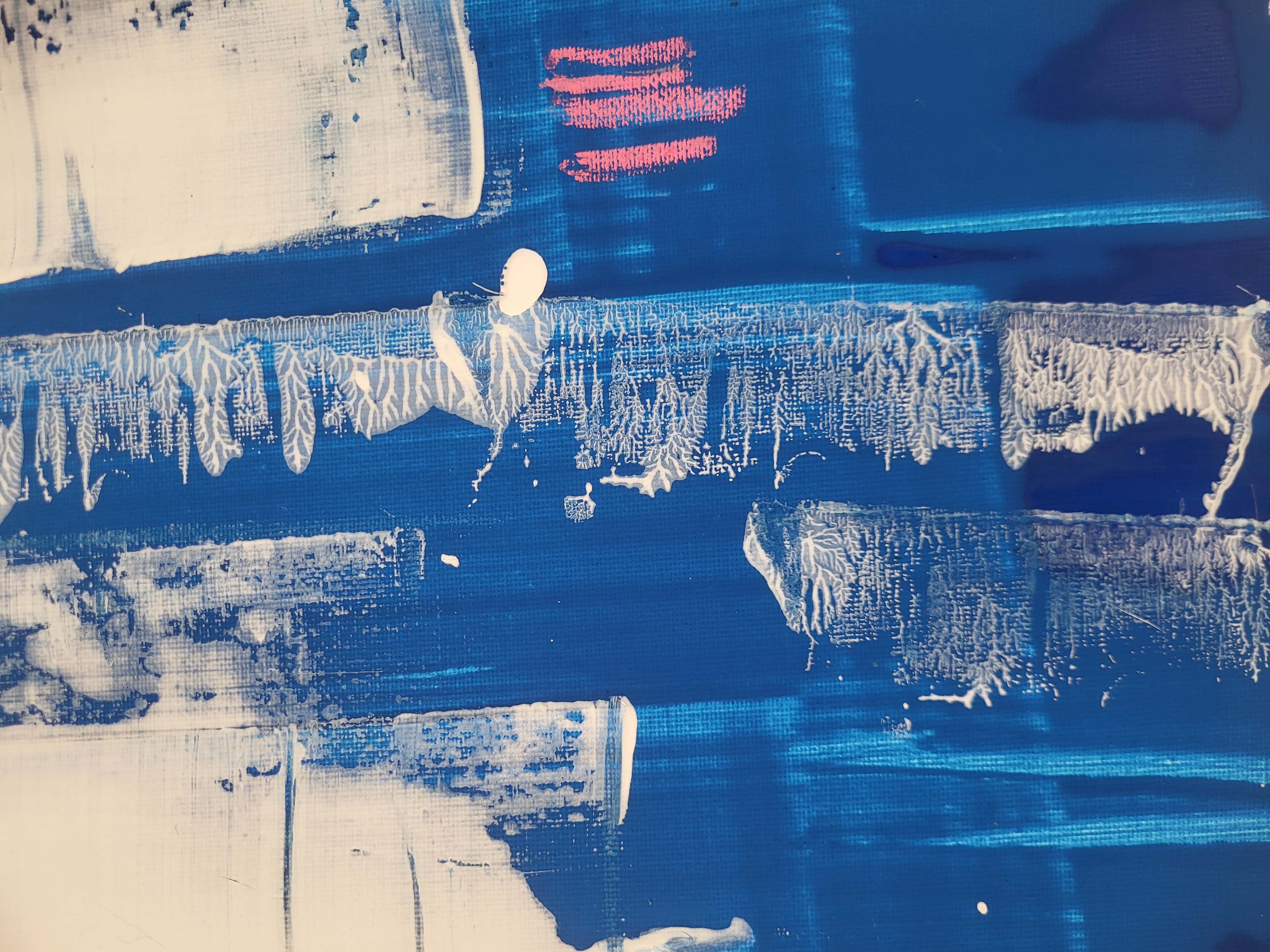 Blue bird of Freedom