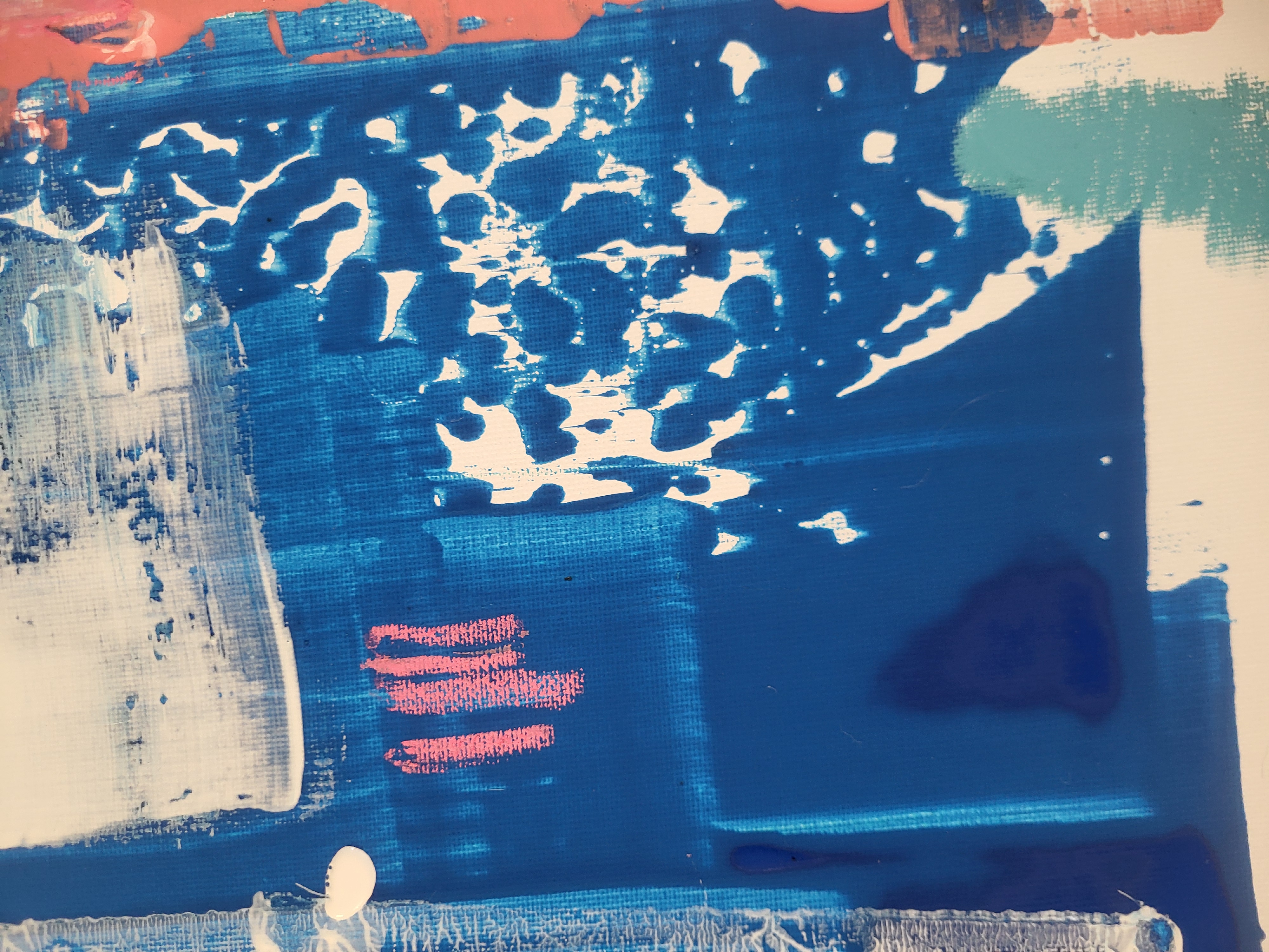 Blue bird of Freedom