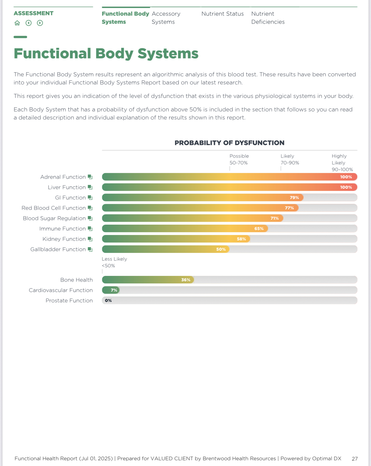 Adult Assessment Package + Report