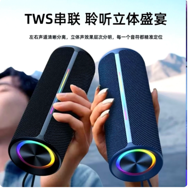 Enceinte Bluetooth portable