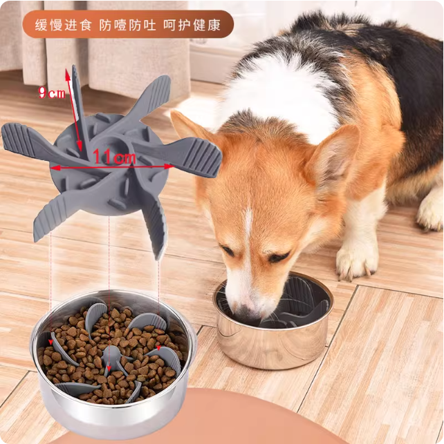Bol anti-glouton pour chien