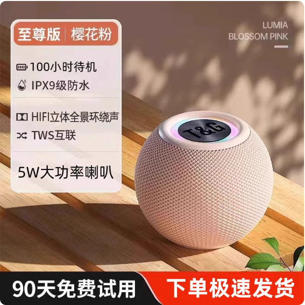 Enceinte Bluetooth portable T&G