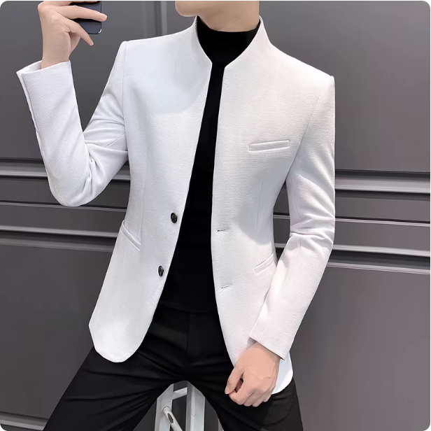 Veste moderne homme