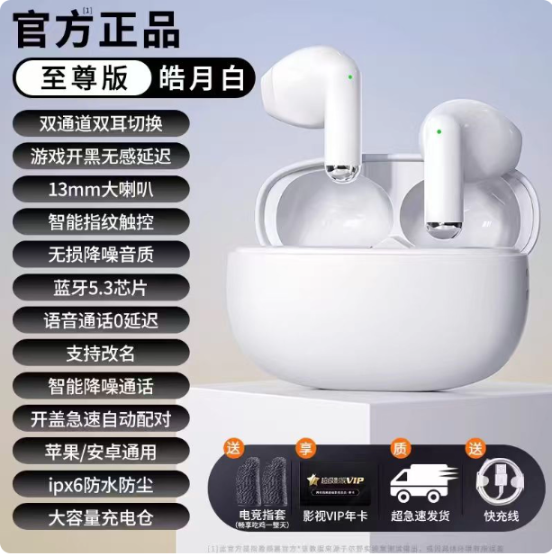 Écouteurs sans fil avec boîtier de recharge