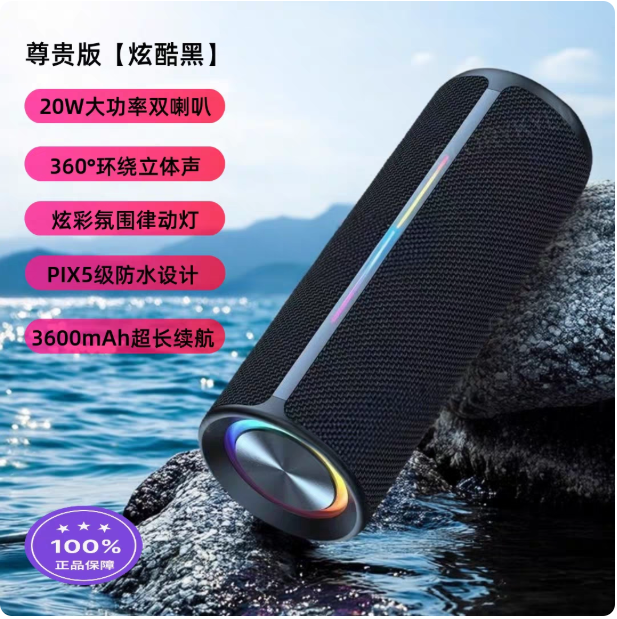 Enceinte Bluetooth portable