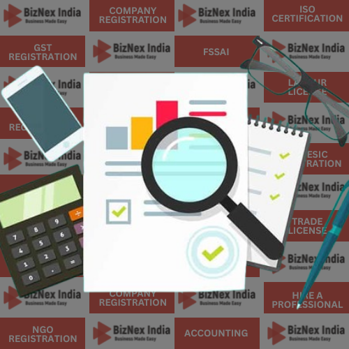 Tax Audit Services