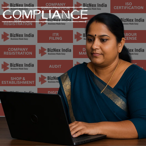 Professional Tax Filing