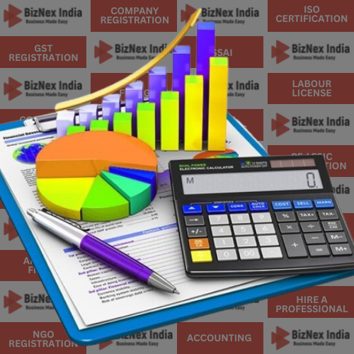 Project Report Preparation