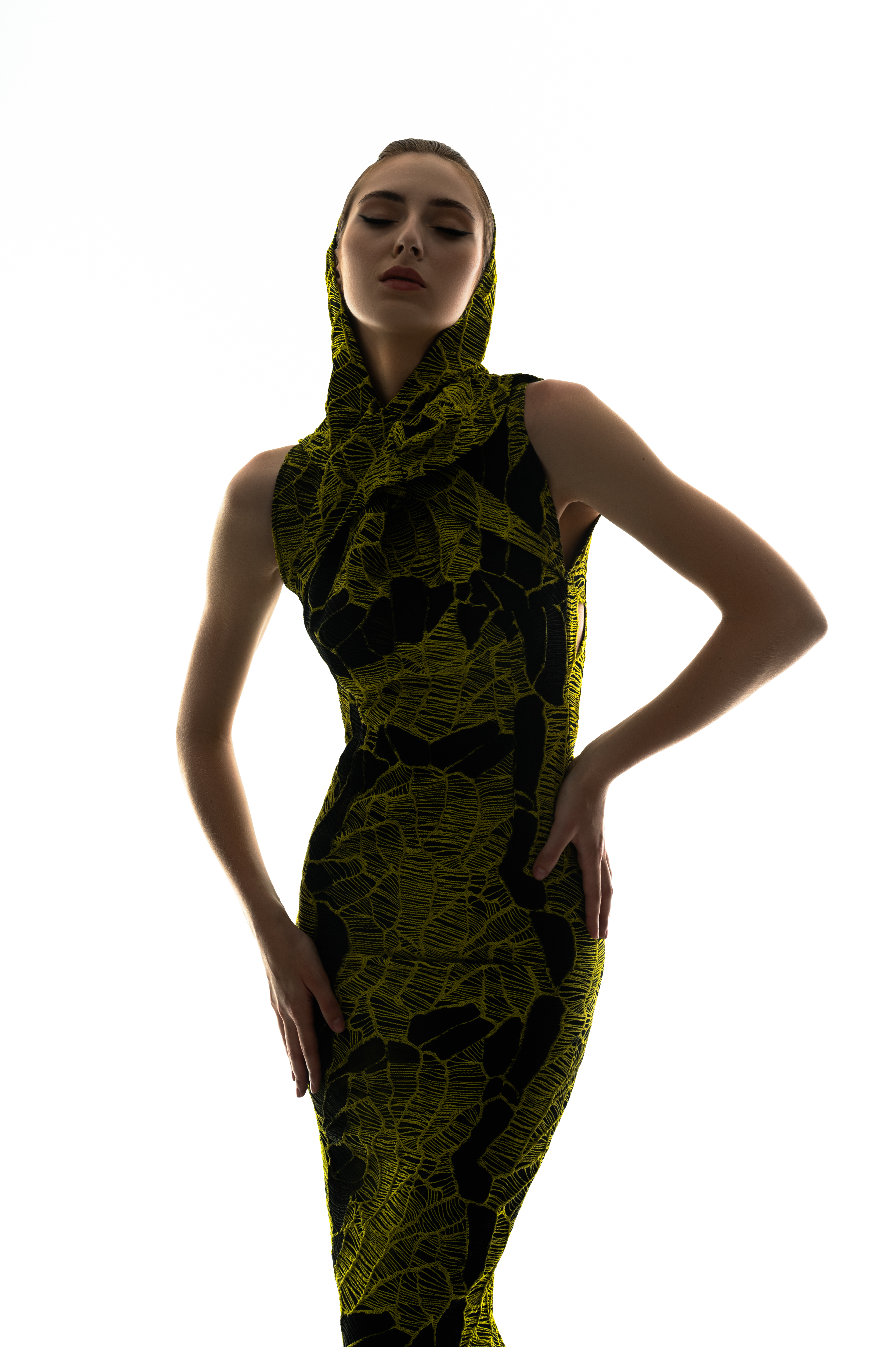Butterfly Jacquard Dress