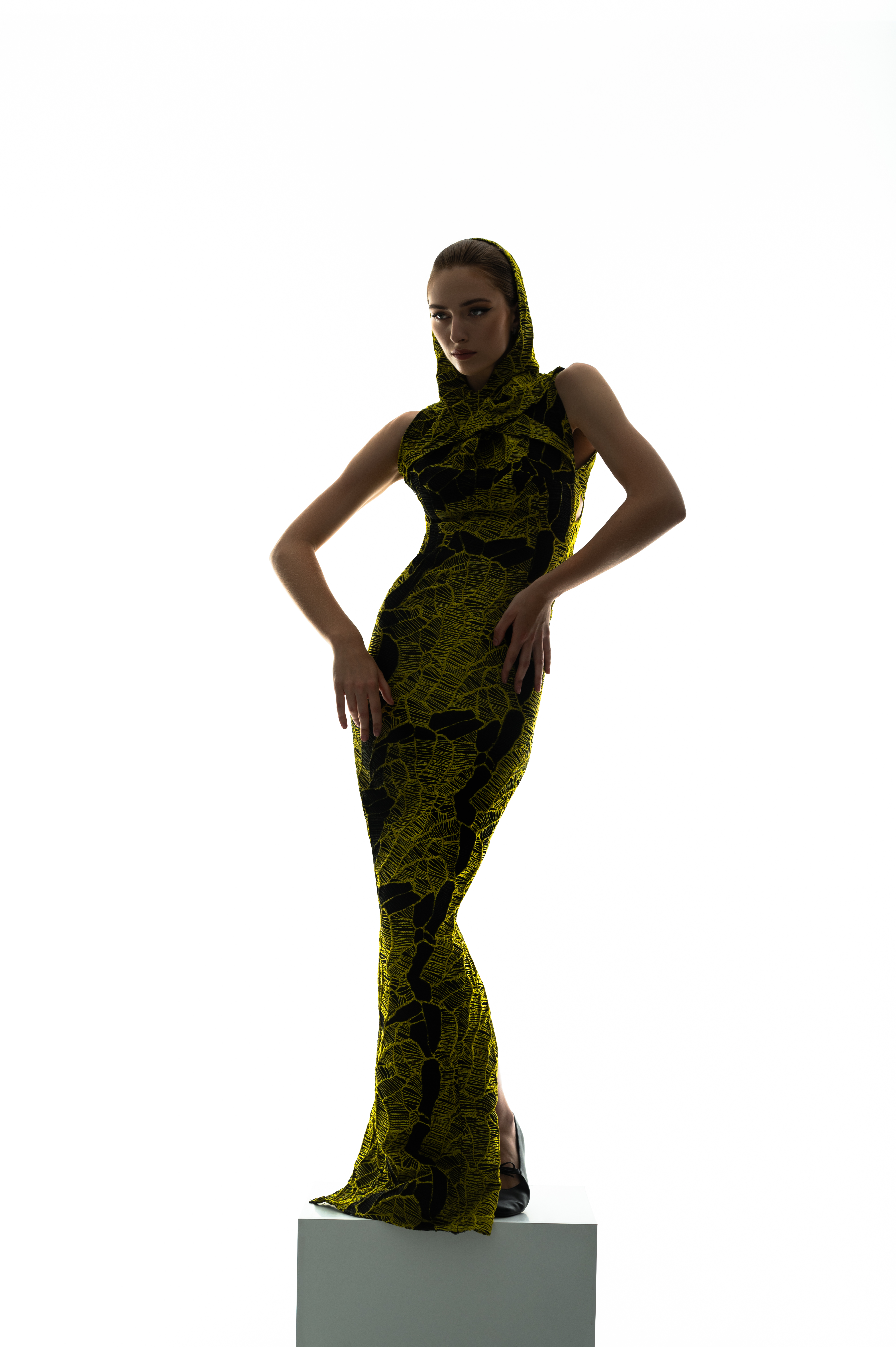 Butterfly Jacquard Dress