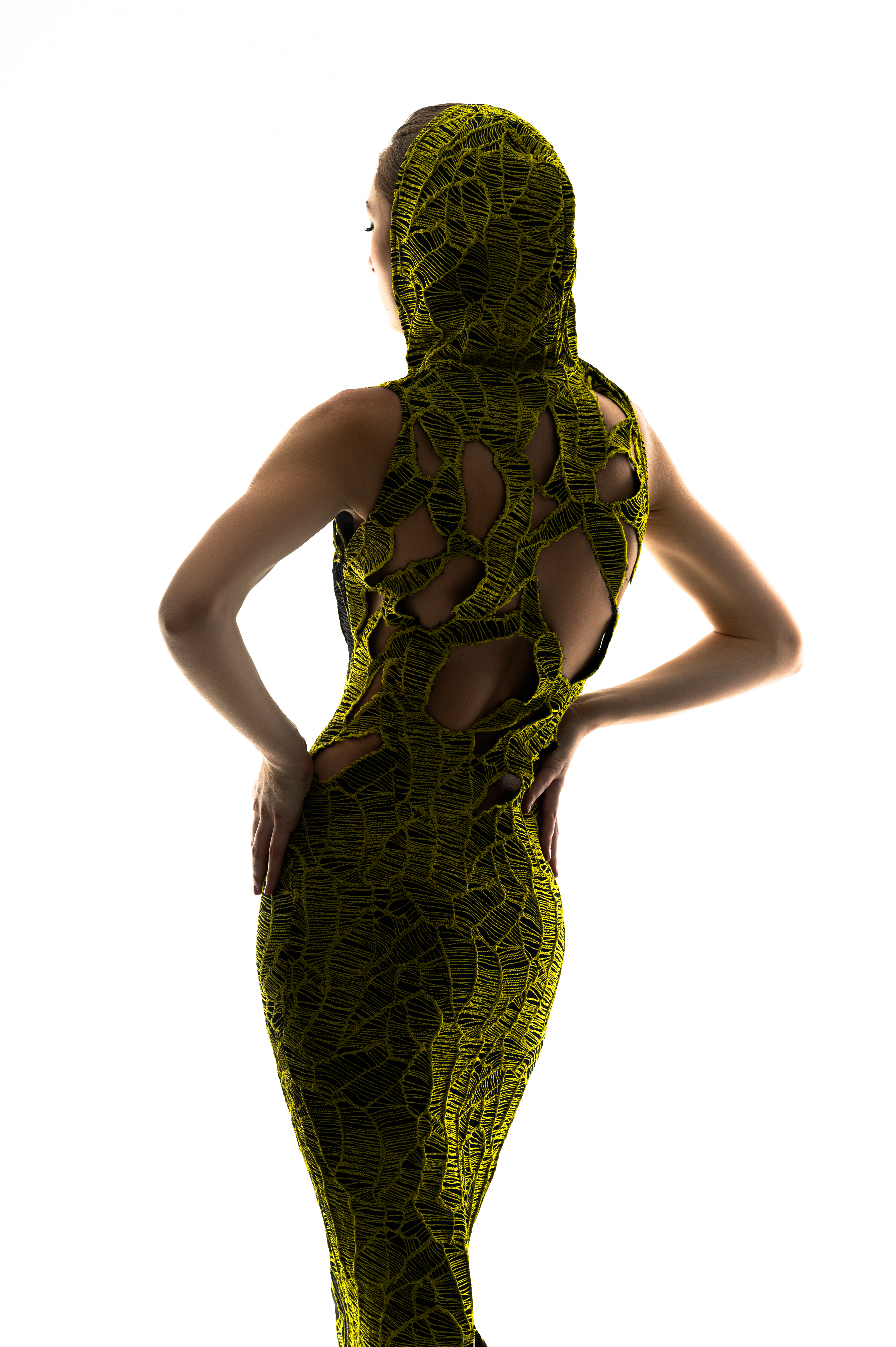 Butterfly Jacquard Dress