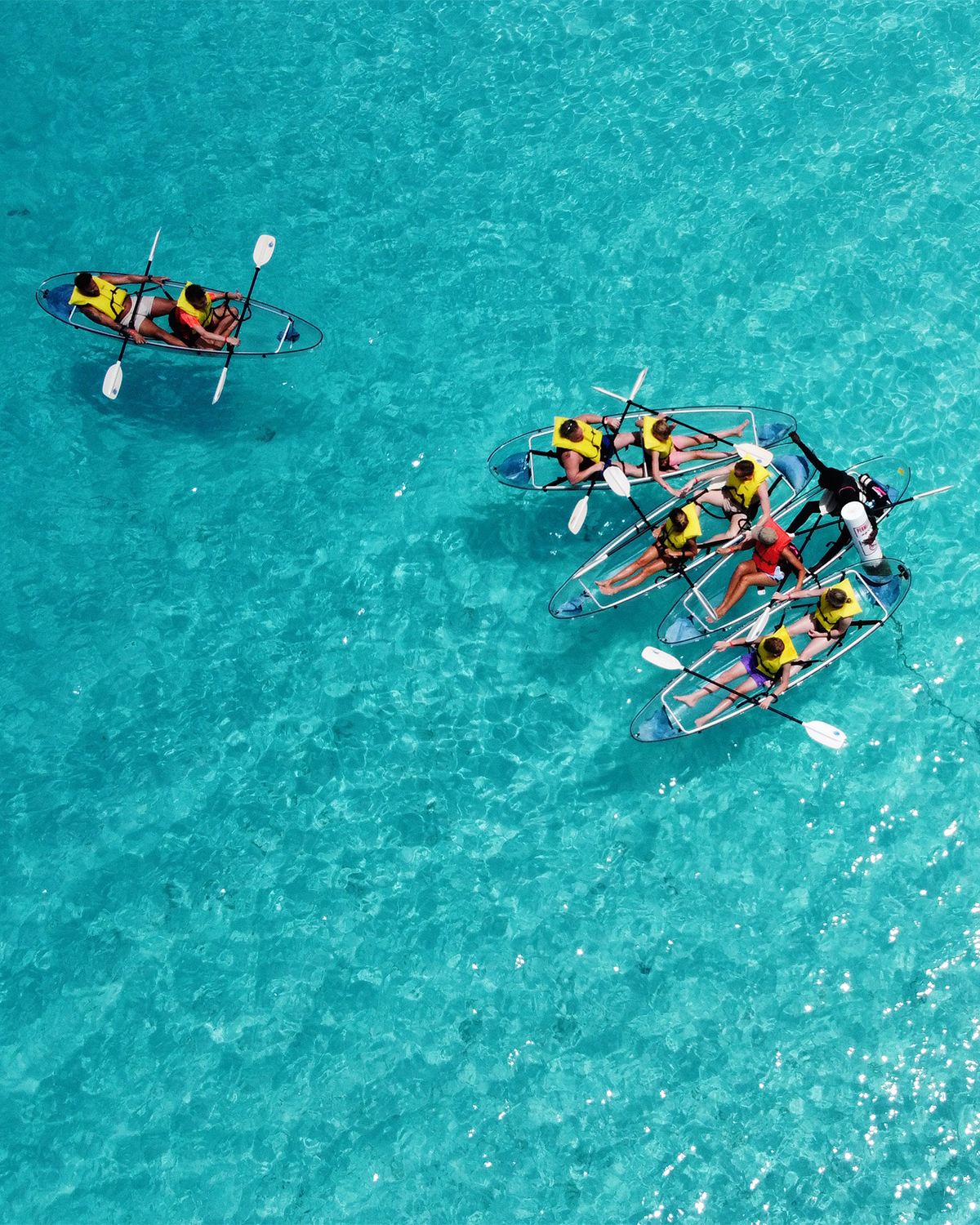 Beach Explorer - admit one